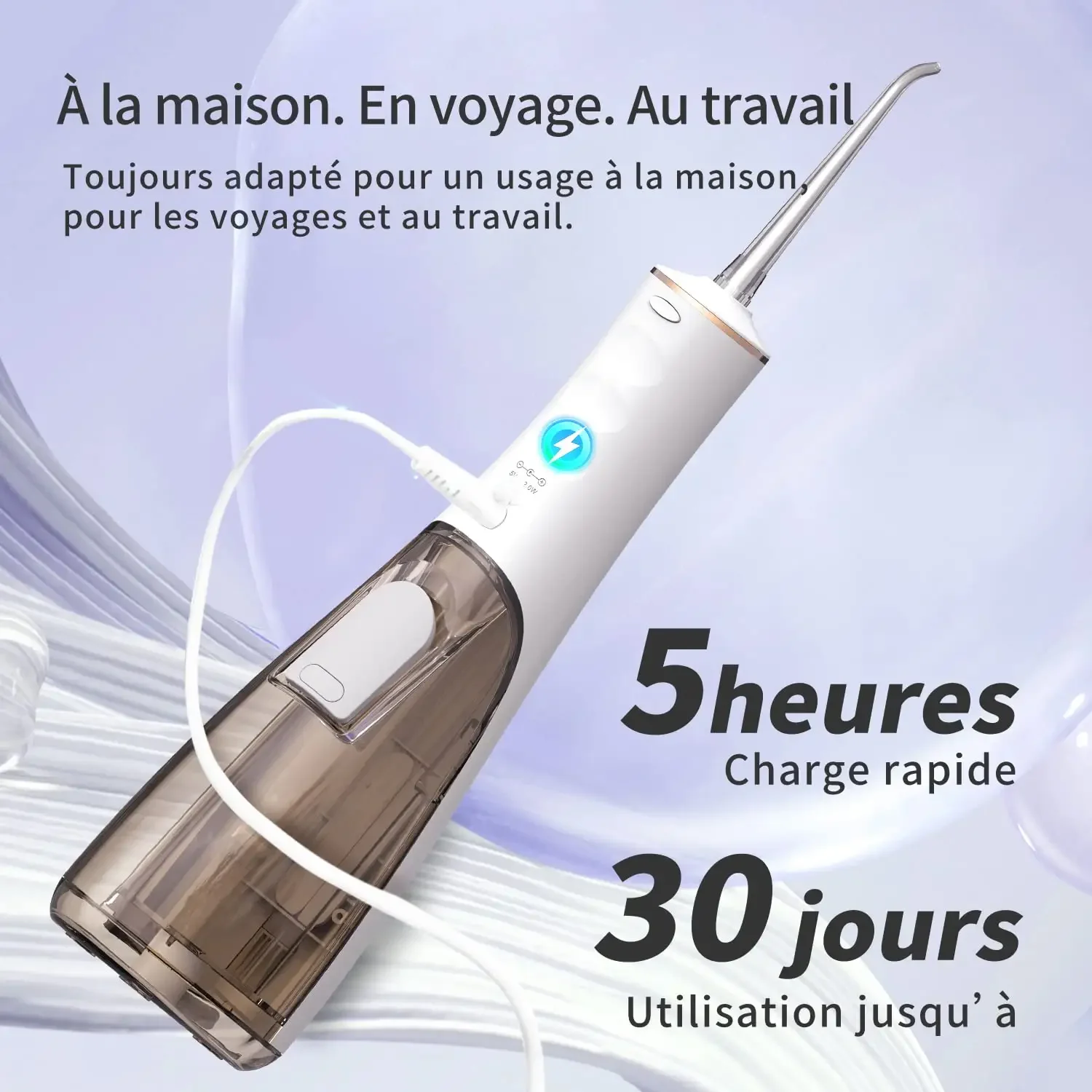 Seago SG-8001 Multi-function USB Charging Big Tank Detachable Portable Water Flosser With IPX7 Waterproof