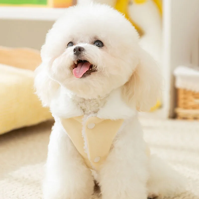Solid Color Dog Clothes Winter Thickened Teddy Cotton Clothes Cute Wind Sleeveless Vest Yorkshire Fleece Sweater Dog Products image 5