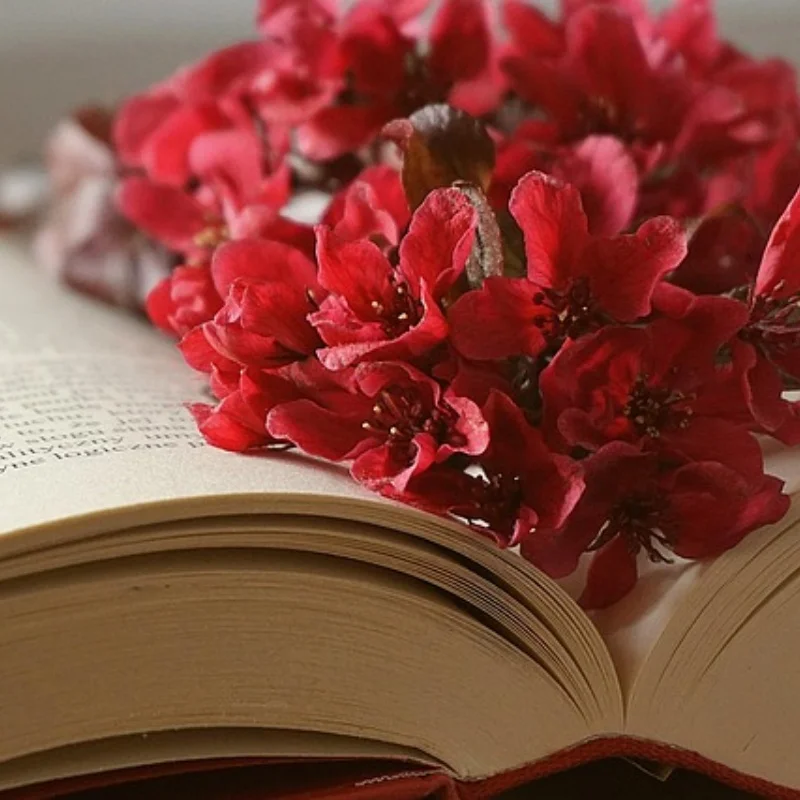 

4PCS Plastic Beadlock 1.9 Wheel Hub Wheel Rim For 1/10 RC Crawler Car Axial SCX10 Wraith RR10 Capra RBX10 TRX4