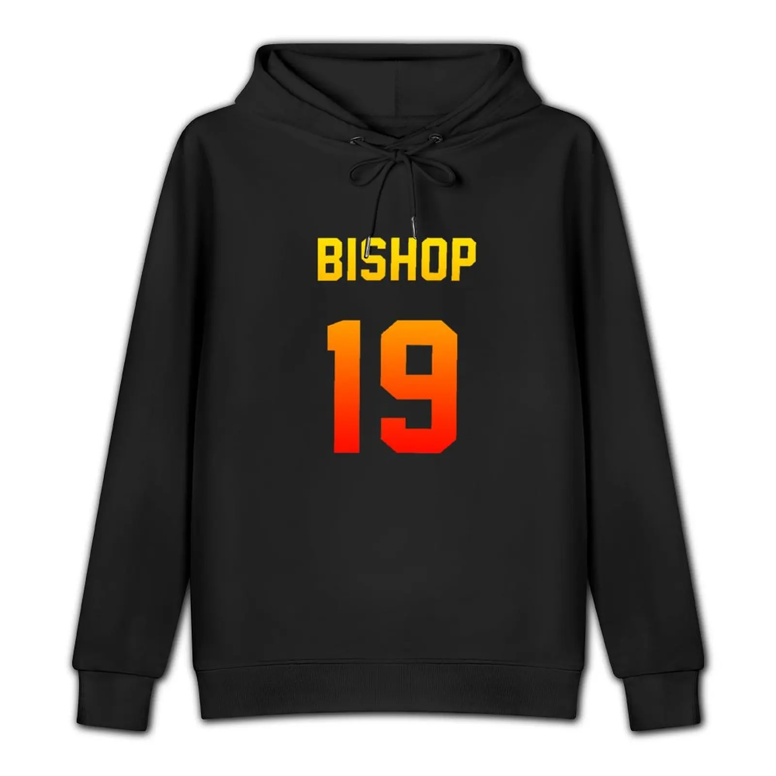 OMBRE JERSEY: Maya Bishop Pullover Hoodie korean clothes designer hoodies