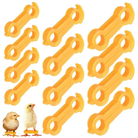 12 Pcs 스윙 버드 교정기 아기 닭 피트 Pvc 팔 닭 앵무새 다리 밴드에 넣어