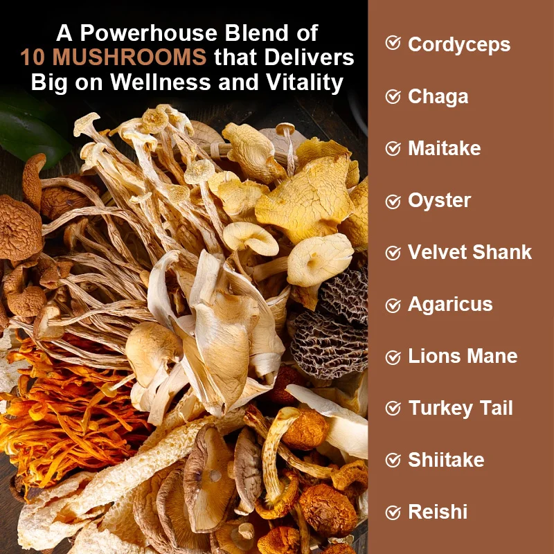 10 Complex Mushroom Capsules Coffee Substitute Energy & Boosting immunity Ganoderma lucidum extract supplement