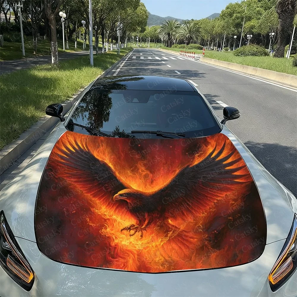 Vibrant phoenix design adorns the car hood, featuring fiery wings and a fierce expression. Perfect for bold automotive enthusias