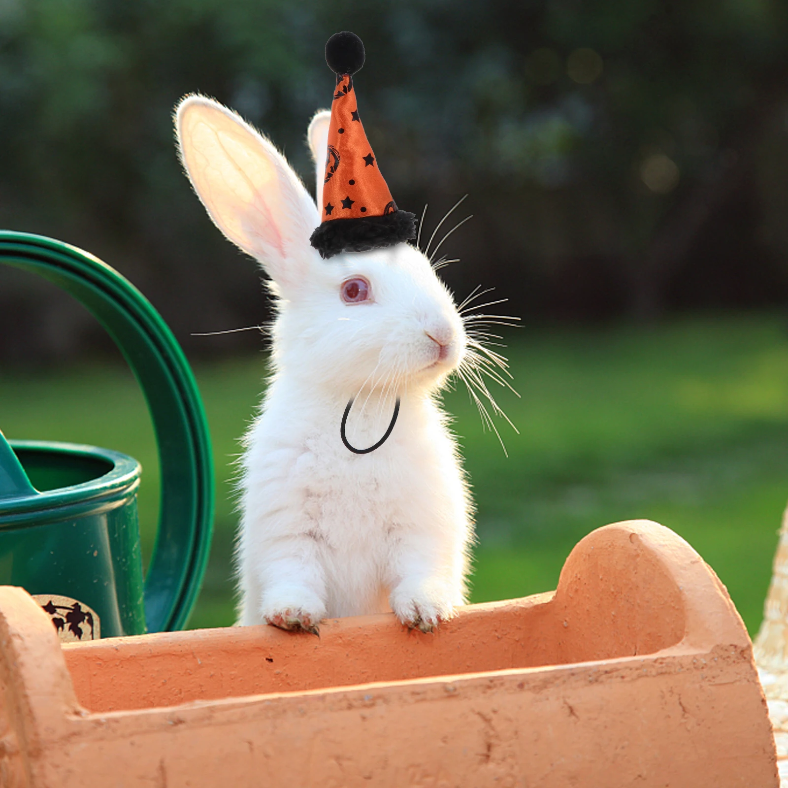 

Halloween Hat Pet Cap Squirrel Small Decor Little Cosplay Costume Rabbit Party Headdress
