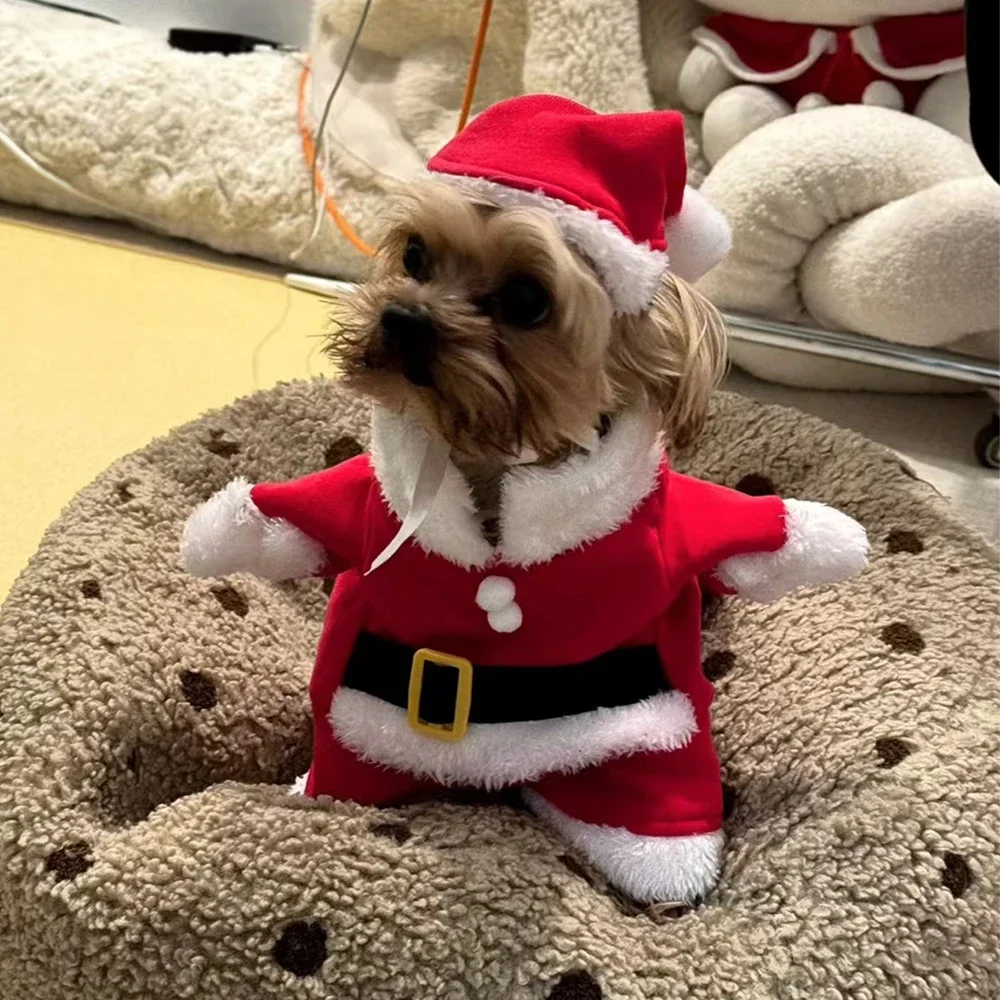 Kerstkleding voor honden Katte - Winter Clothing Dress Up recensie en prijs
