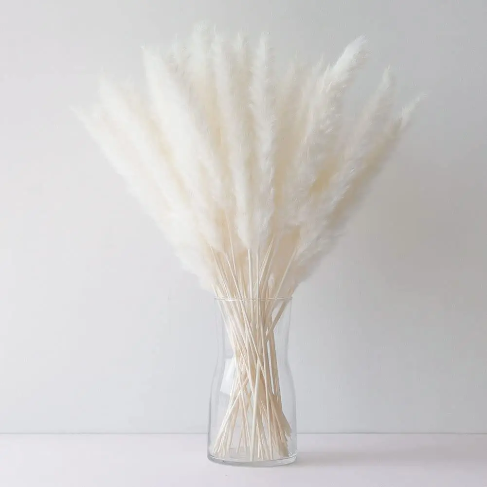 60pcs White Small Pampas Grass Dried Pompas Grass Bunch for Vase Filler, Flower Bouquet & Home, Bedroom, Living Room Decoration