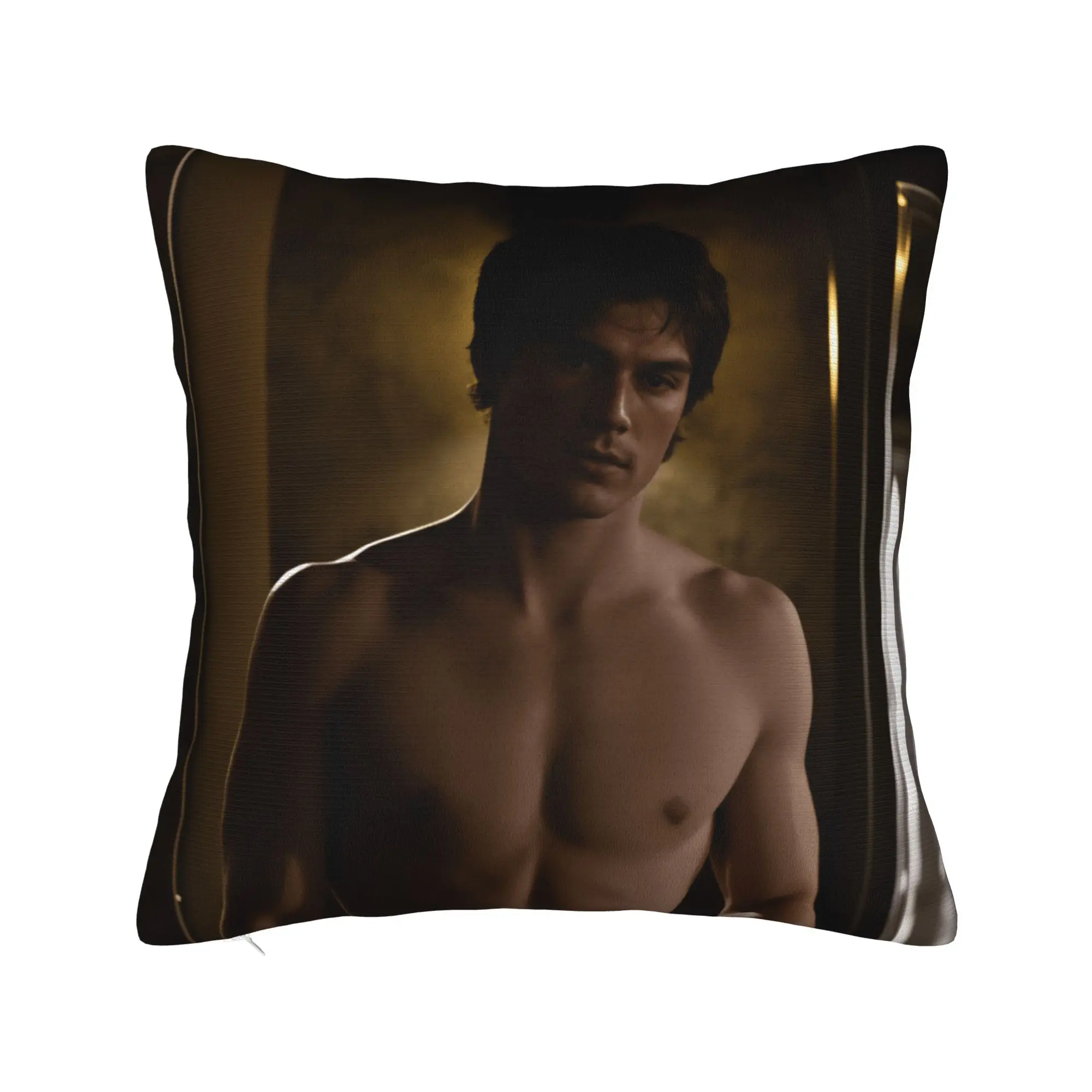 Damon salvatore Pillow Case  Comfy Pillow Cover Novelty Pillowcases For Wedding Party Home Decor