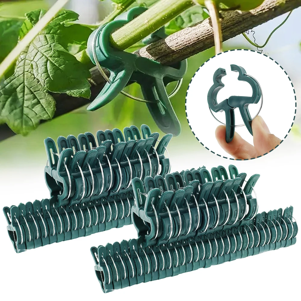 Plant Fixing Clips for Fixing Flower Vine Vegetable Tomato Stem Fasteners Gardening Supplies Reusable Garden Greenhouse Brackets