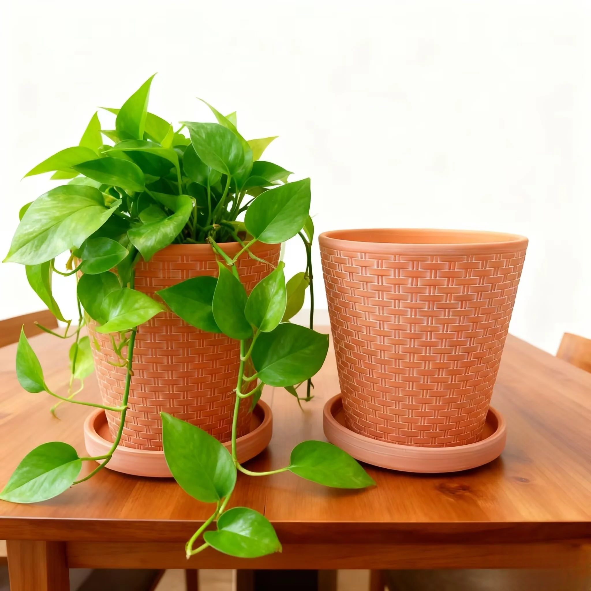 5'' Prägung-Terrakotta-Töpfe-Set mit Untertasse – 2er-Pack, Gartenblumen-Sukkulententöpfe mit Tablett für drinnen und draußen