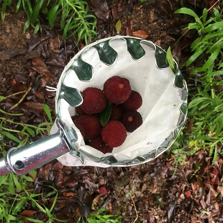 Adjustable Multi-Fruit Picking Kit Tree Fruit Collector Gardening Supplies for Berry Cherry Citrus Garden Work Accessories
