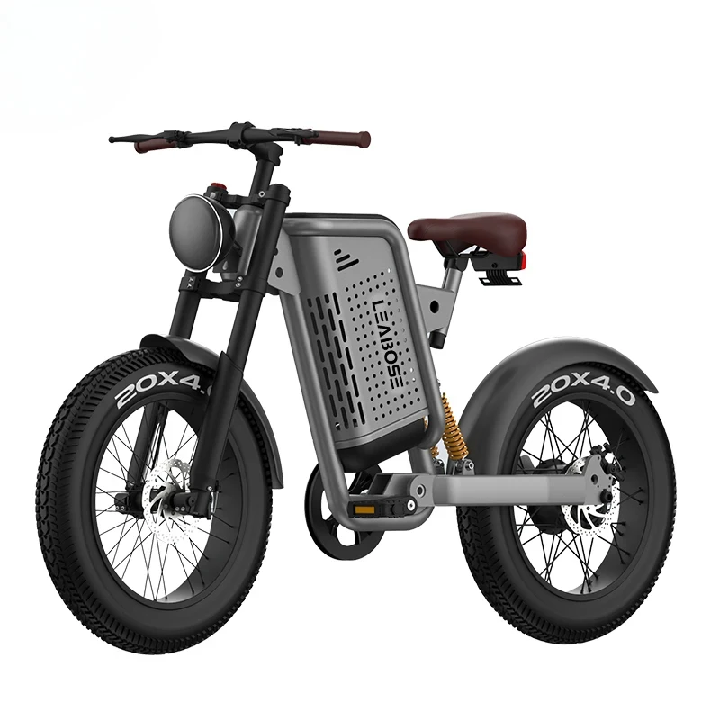 20 Inch Air Tires Electric Bike Vintage Electric Fat Tire Bike With Rear Sea