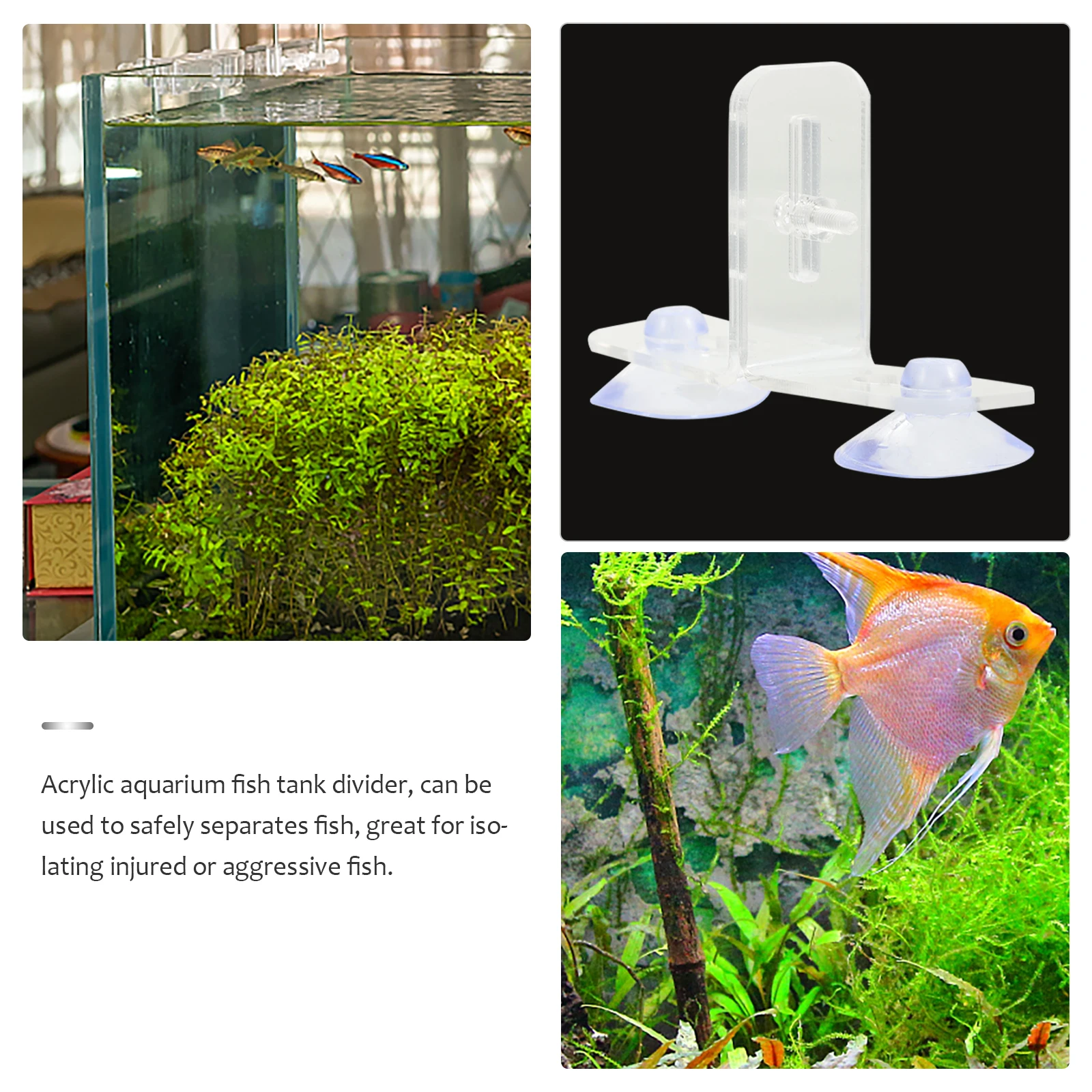 

4pcs Fish Tank Divider Clips Acrylic Transparent Partition Boards Cups Multi Round Holes for Aquarium Breeding