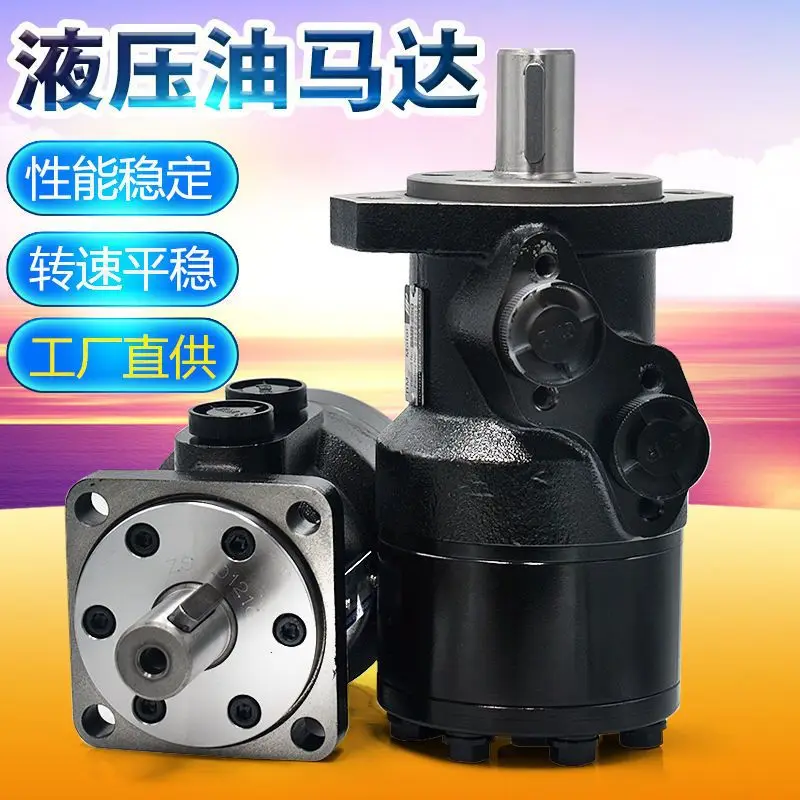Hydraulic oil motor BMR-50 80 100 125 160 200 250 315 400 500 Cycloid motor
