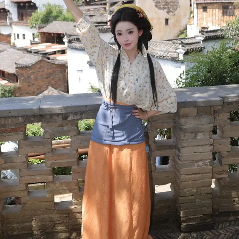 Wei Jin Dynasties Hanfu Dresses Women Traditional Chinese Clothing Halloween Cos Costume Ancient Hanfu Ancient Festival Outfit view 6