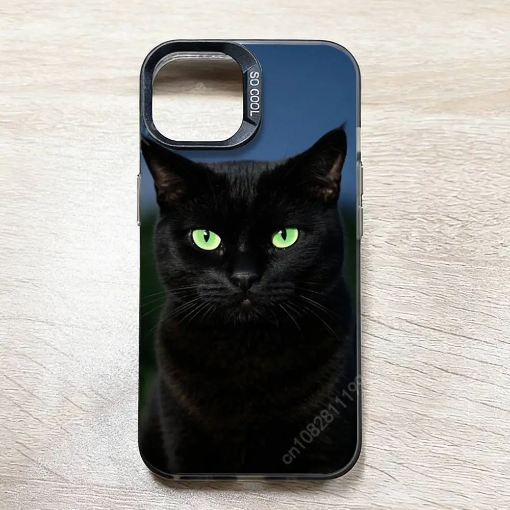 Mysterious Black Cat Phone Case for iPhone 17 16 15 14 13 12 11 Pro Plus Max Mini X XS Silicone Hard Cover