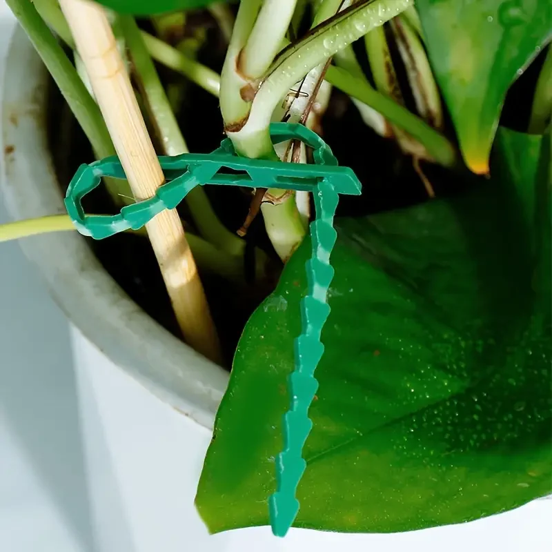 

20pcs-Horticultural cable tie, plastic, self-locking, plant fixing, portable horticultural cable tie