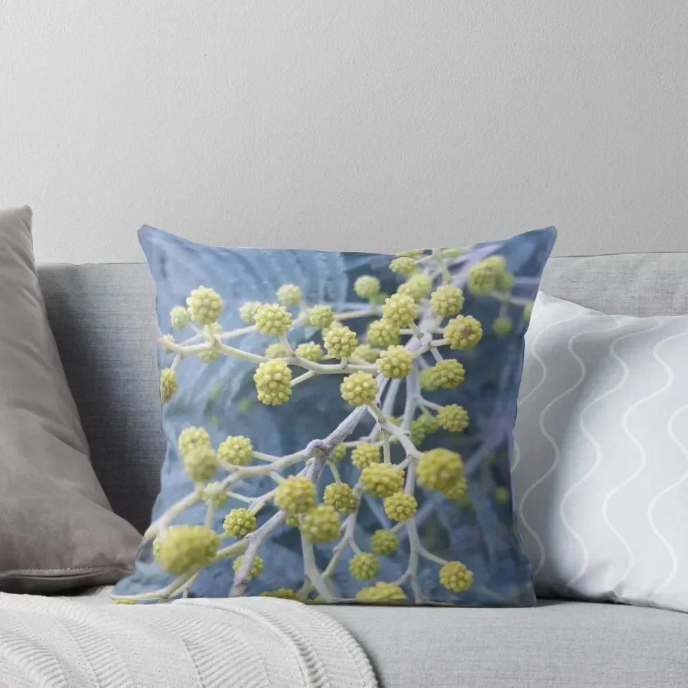 Wattle flower buds Throw Pillow Luxury Pillow Cover New year Bed pillowcases Marble Cushion Cover pillow