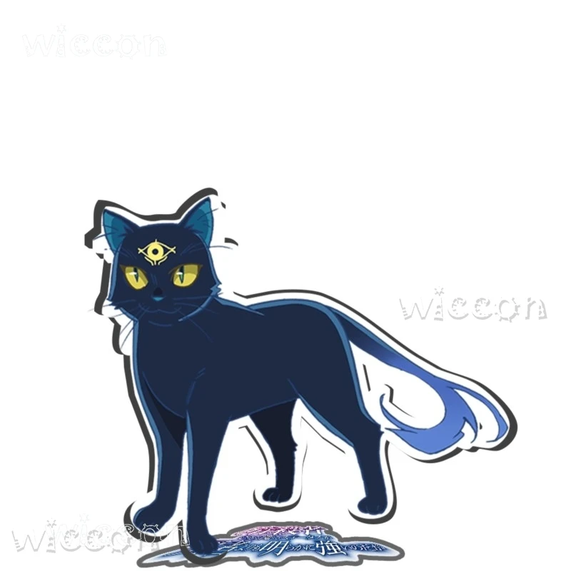 disfraz Adulto halloweeen BMy Status As An Assassin يزيد بشكل واضح على البطل أنيمي الاكريليك ستاندكوستوم الإيكانلوين