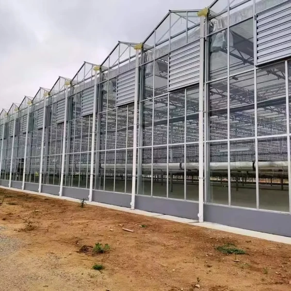

Customized greenhouseIntelligent Agricultural Glass Greenhouse with Hydroponic System for Strawberry/Tomato/Lettuce Growing