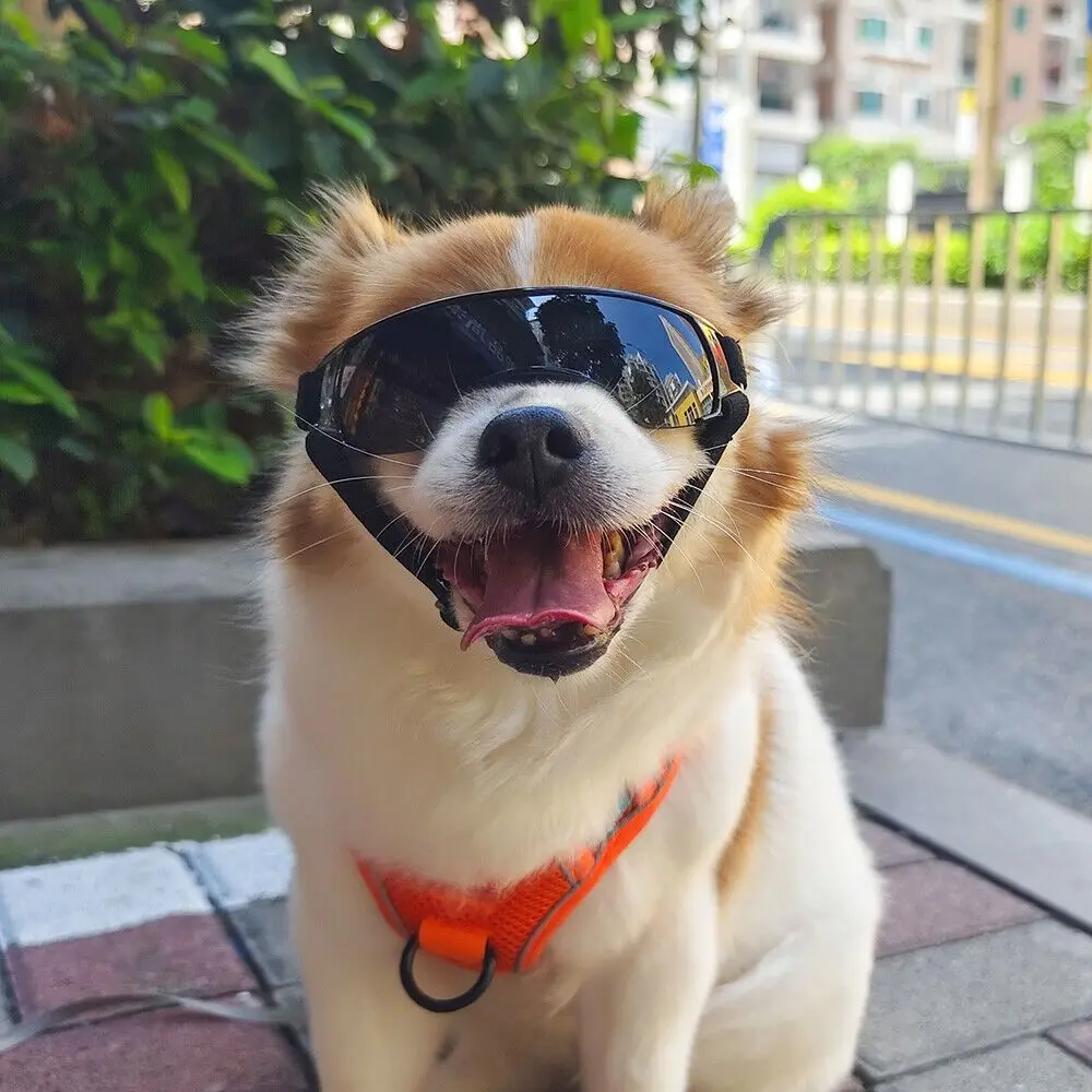 Multicolor Pet Goggles Sun Protection Windproof Pet Sunglasses UV Protection Sun Shading Dog UV Protection Glasses Dog