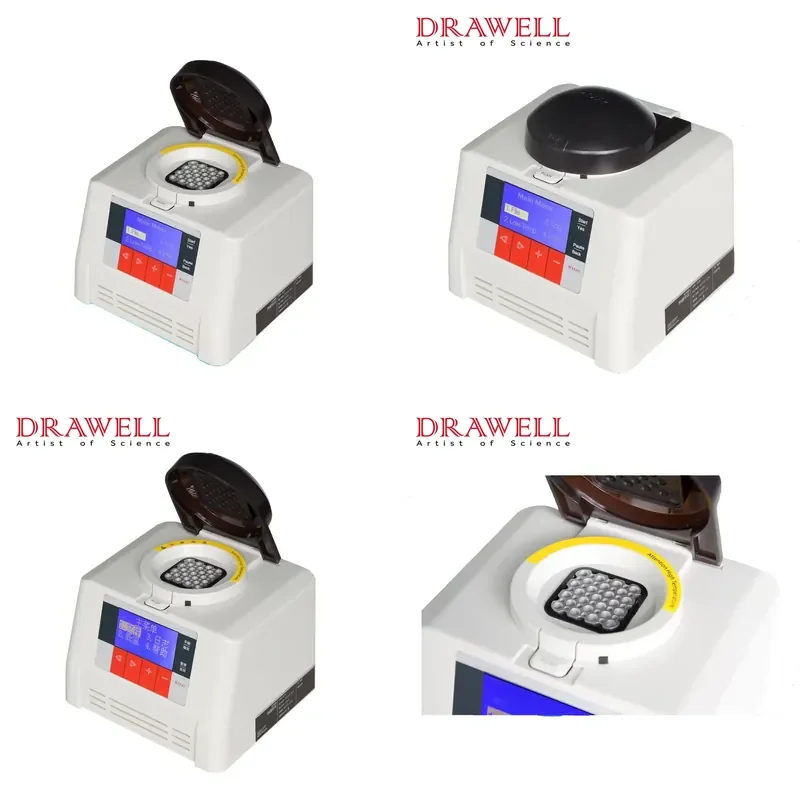 Real-time PCR analyzer