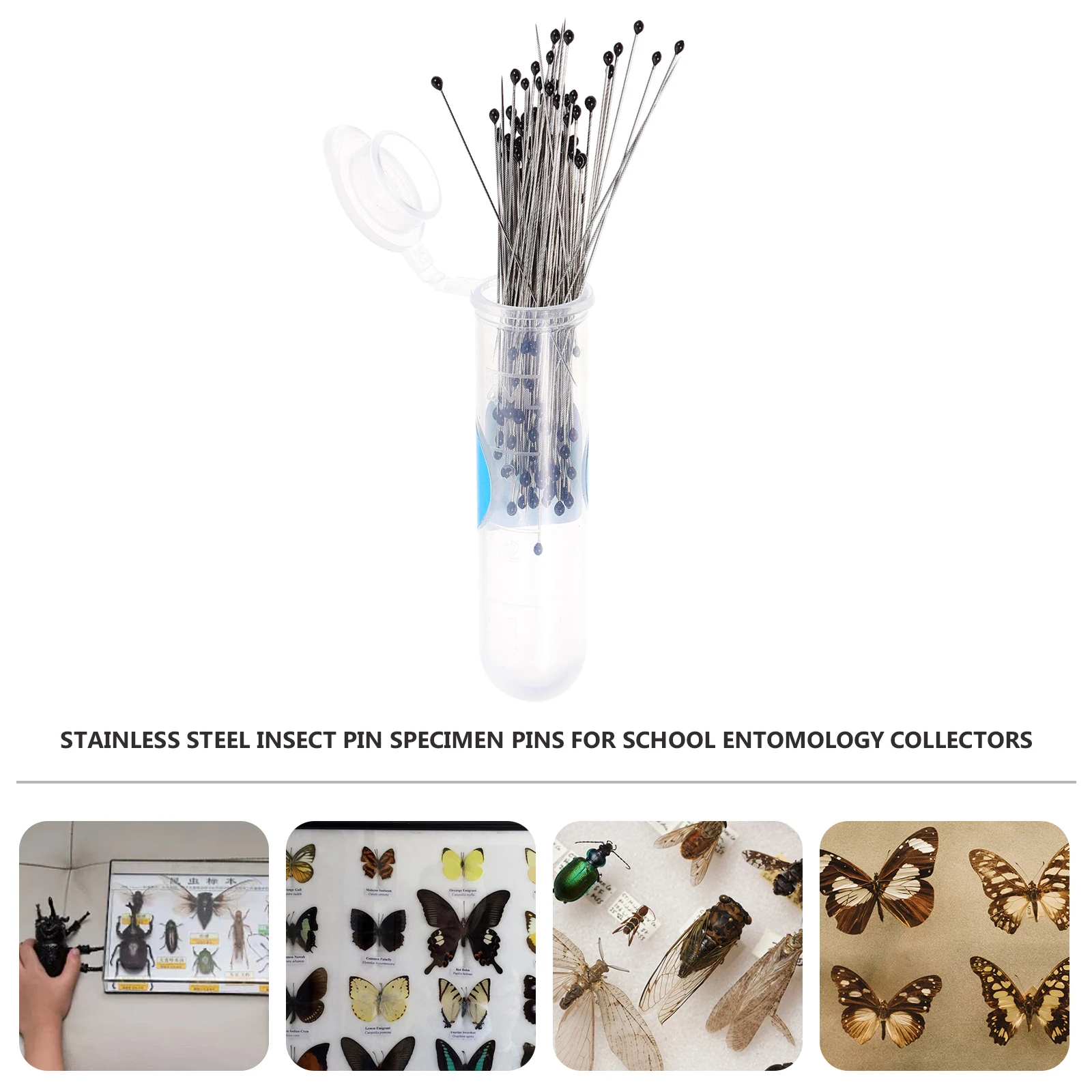

200pcs Stainless Steel Specimen Pins Premium Needles For Entomology Bug Hobbyists Corrosion Resistant Long