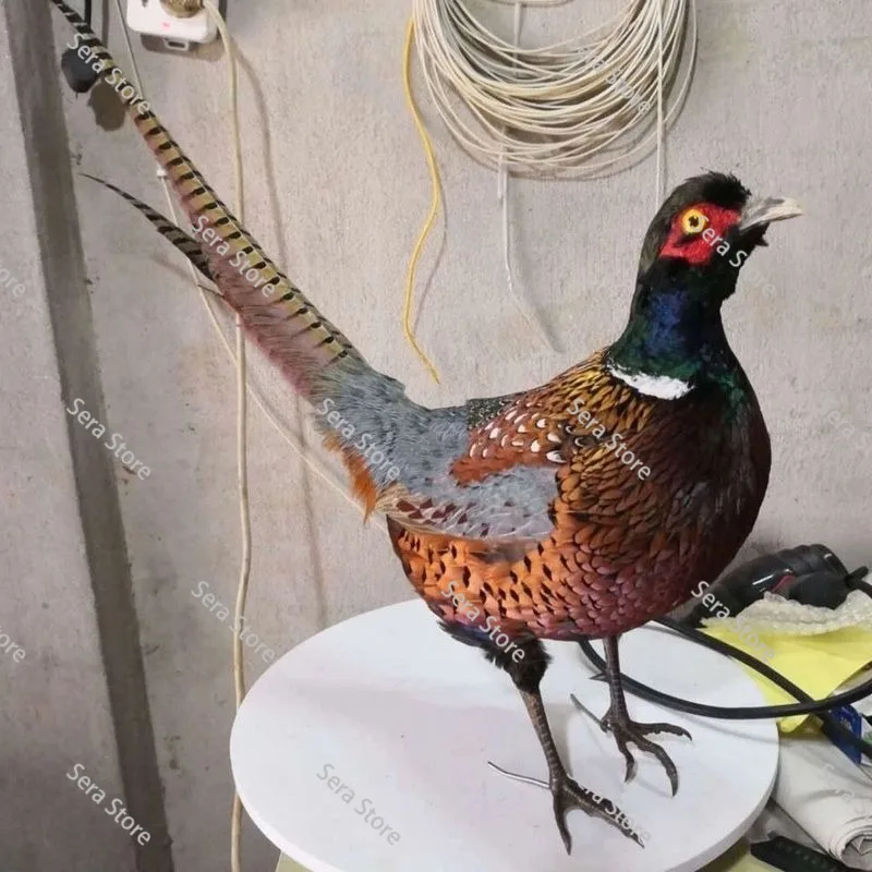 Simulation pheasant fake medium pheasant model ornament outdoor products