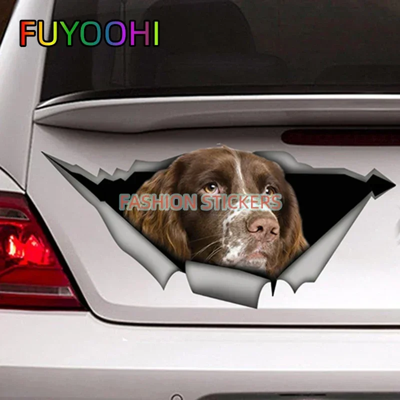 Fuyoohi Springer Sp…