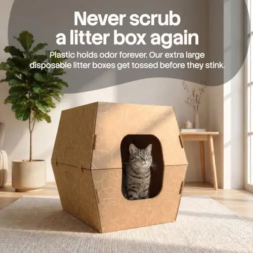 Cats Desire Disposable Cat Litter Boxes - 10 Pack - Extra Large High Sided Leak Resistant Cardboard Litter Boxes, Use
