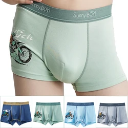 Boys Underwear Kids High Elasticity Cotton Panties Children's Cartoon Car-themed Shorts Briefs Fashion Teen Boy Boxer Underpants