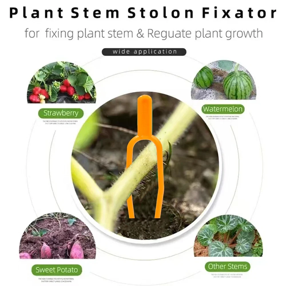 Prensas De Plantio De Morango De Plástico, Videira De Melancia, Fixação Fixture, Suporte De Forma De Plantas, Acessórios De Jardinagem, Lotes