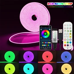 LED z Bluetooth neonowe światła z pilotem zdalnego kontrola aplikacji 5V USB elastyczne światła neonowy pasek RGB liny oświetlenie do sypialni wystrój pokoju