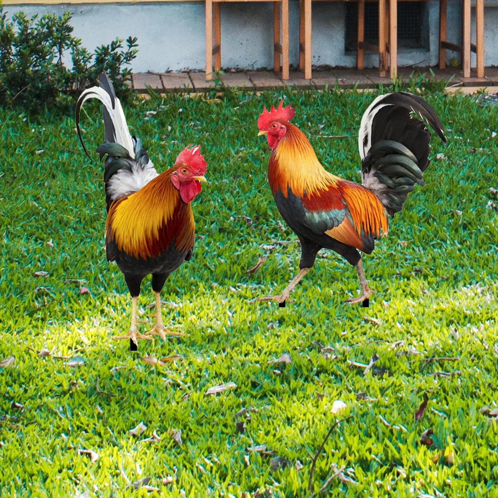 2 قطعة تمثال الديك حديقة حصص التماثيل الديك إدراج الأرض ، ساحة واقعية الفن الحيوان المنحوتات لحديقة الفناء