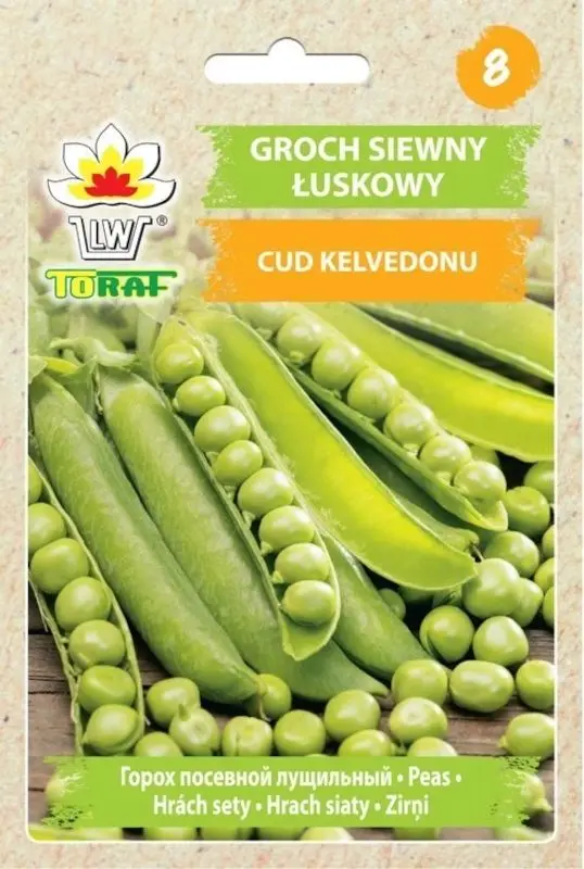 Graines de pois Kelvedon miracle 50g, variété précoce, naine, très fertile