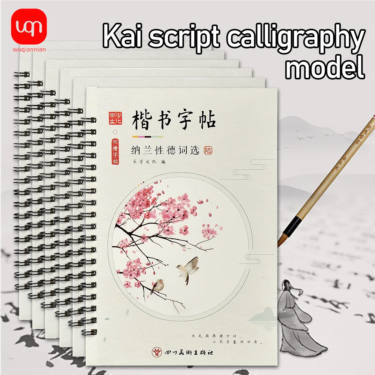 WQN-6PCS 3D Chinese Characters Reusable Grooved Calligraphy Copybook for Learning Chinese Characters, Adult Writing Book, Gift