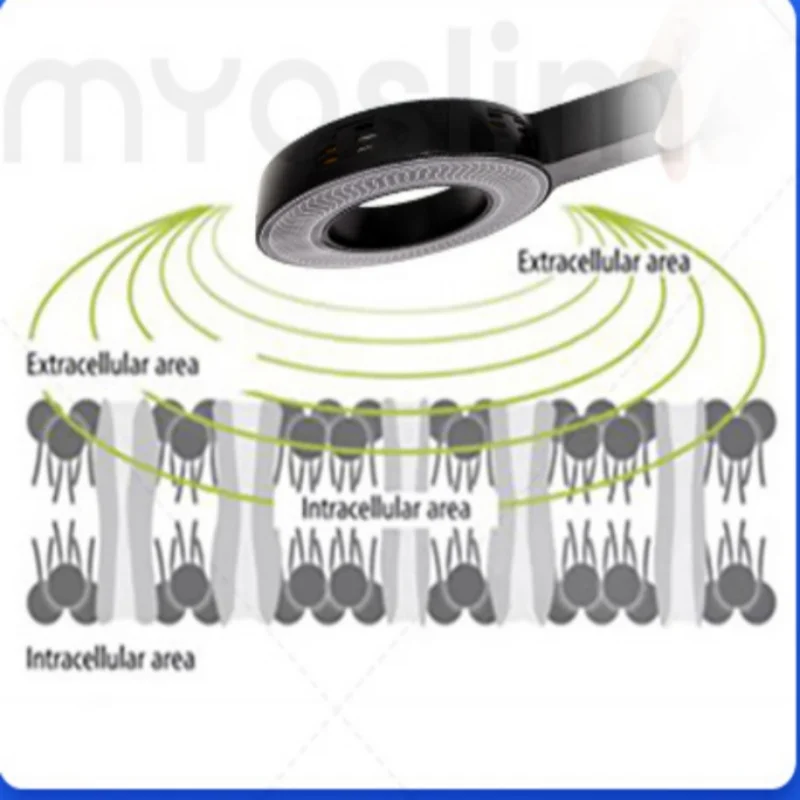 المحمولة لتخفيف الآلام معدات العلاج الطبيعي المغناطيسي Magnetoterapia Magnetotherapy آلة إعادة التأهيل Fisic