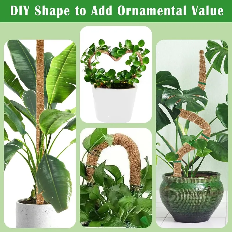 نباتات Monstera المتتالية مقاس 120 سم، نباتات داعمة للتتالي، ملحقات نباتات داخلية متتالية، مناسبة لنمو المتتالي. #3