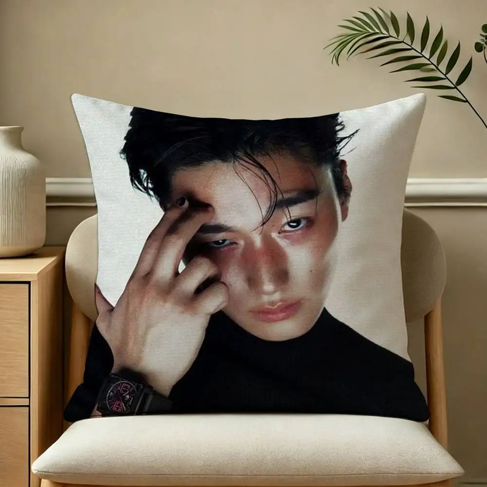 Angel Voice C-ChoiS San-n Square Double-Sided printed Pillow Case Bedroom Bedside Pillow Sofa Cushion Cover
