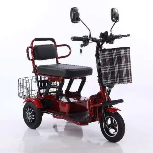 

A New Type of Small Three-wheeled Dedicated commuter Vehicle, a Foldable Power-assisted Two-seater Electric Bike