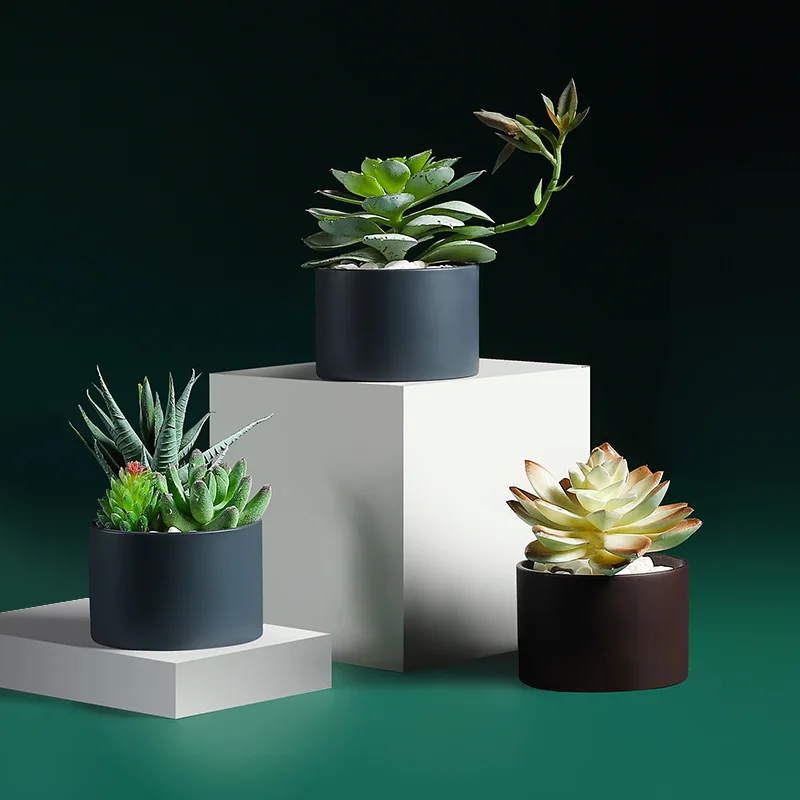 

Simple simulation of meaty potted tabletop mini decoration home living room artificial fake succulent flowers and green plants