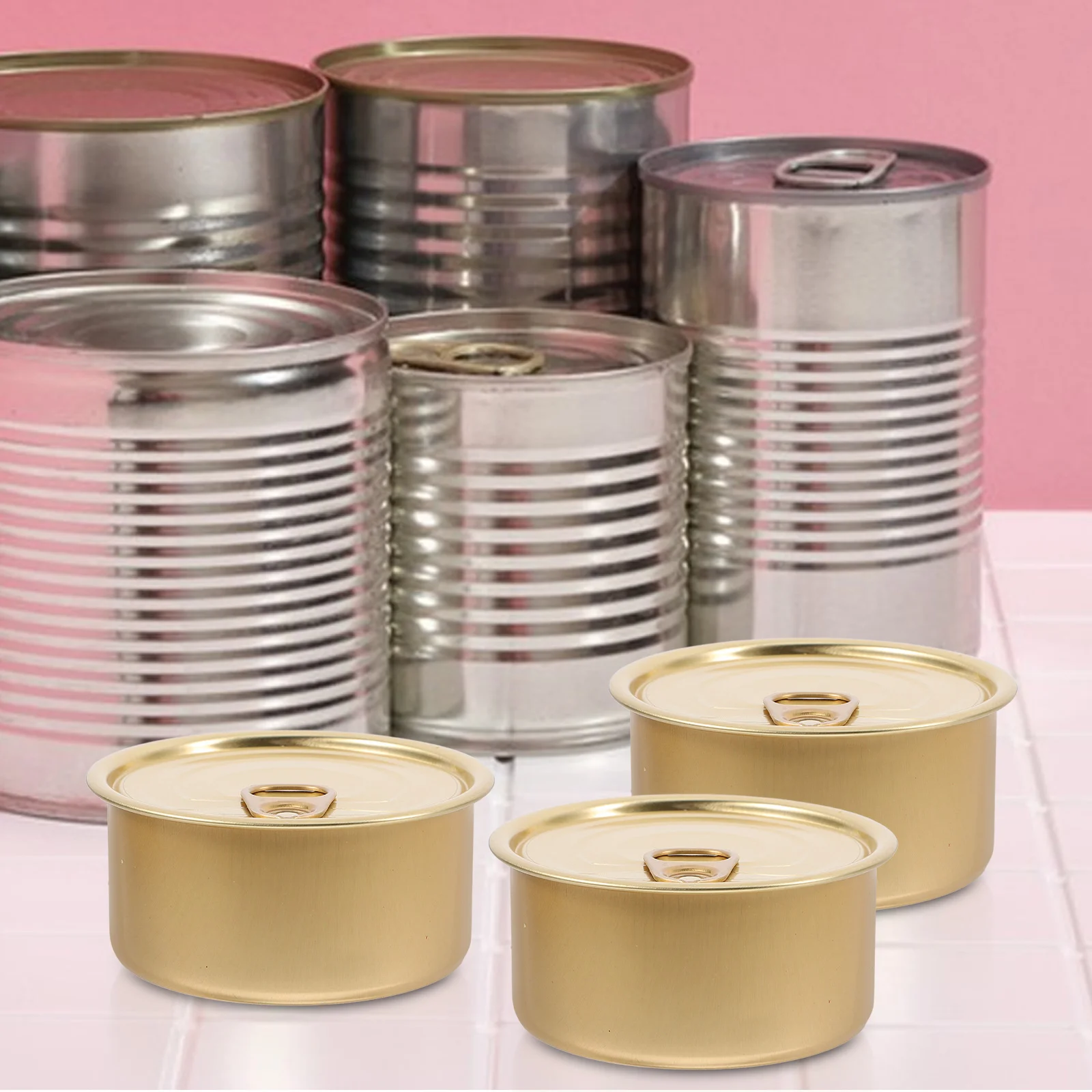 10 Pcs Cans Empty Food Cookie Tins Refillable Round Tuna Dessert Pet Bulk Paint