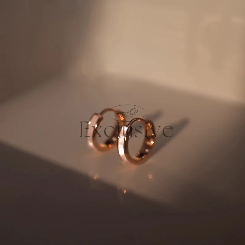 

Simple shell earrings women's niche design high-end earrings