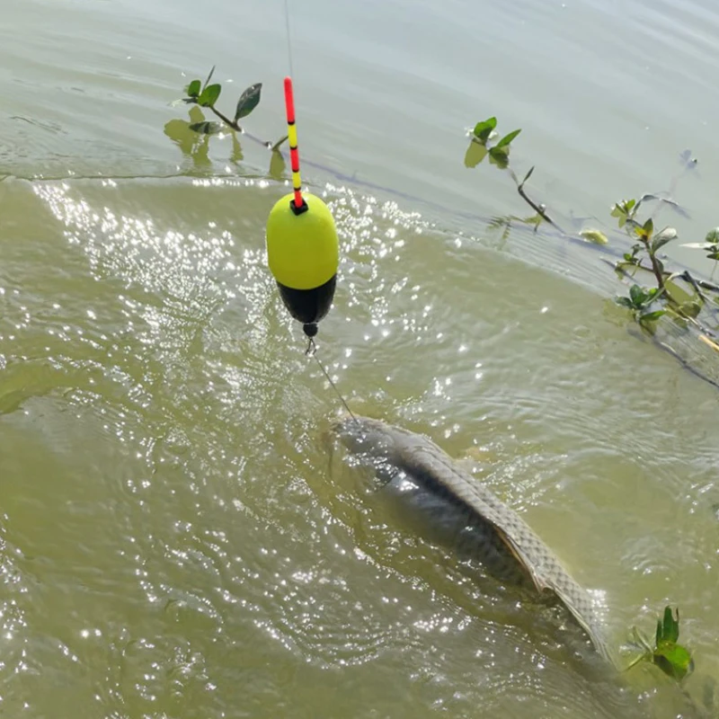 Dispositivo de flotador de pesca luminoso, flotador de pesca automático, juego de corcho de pesca rápido