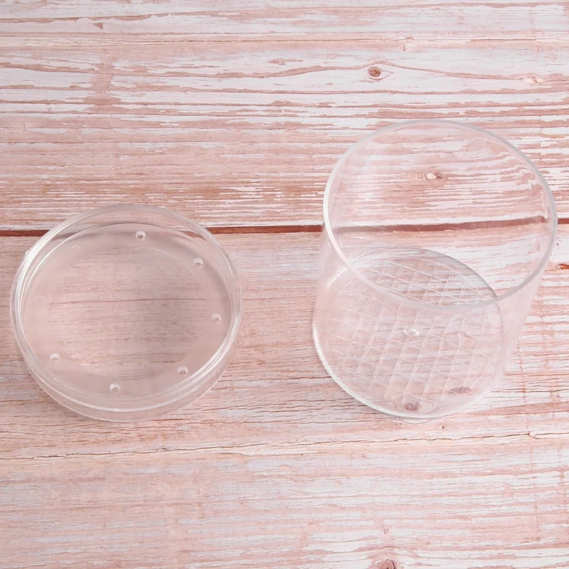 Tasse d'Observation d'Insectes, Loupe d'Insectes, Boîte d'Alimentation Fuchsia, Tube d'Observation Naturel, 1 Ensemble