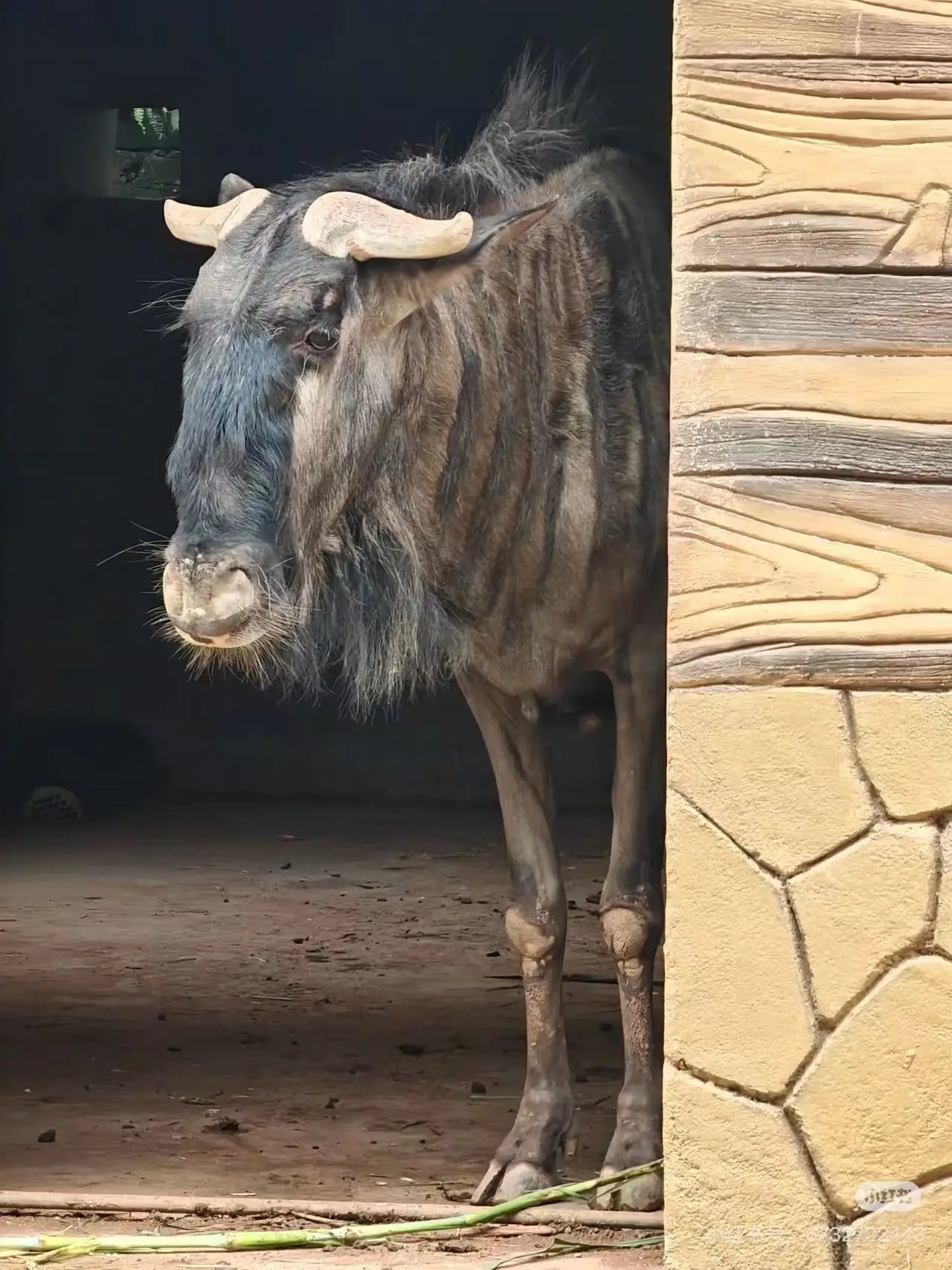 

Аппарат для коррекции фигуры EMS MYOslim: RF-скульптурирование, электромагнитная стимуляция, похудение, наращивание мышц, 6500 Вт, 4/5 насадок