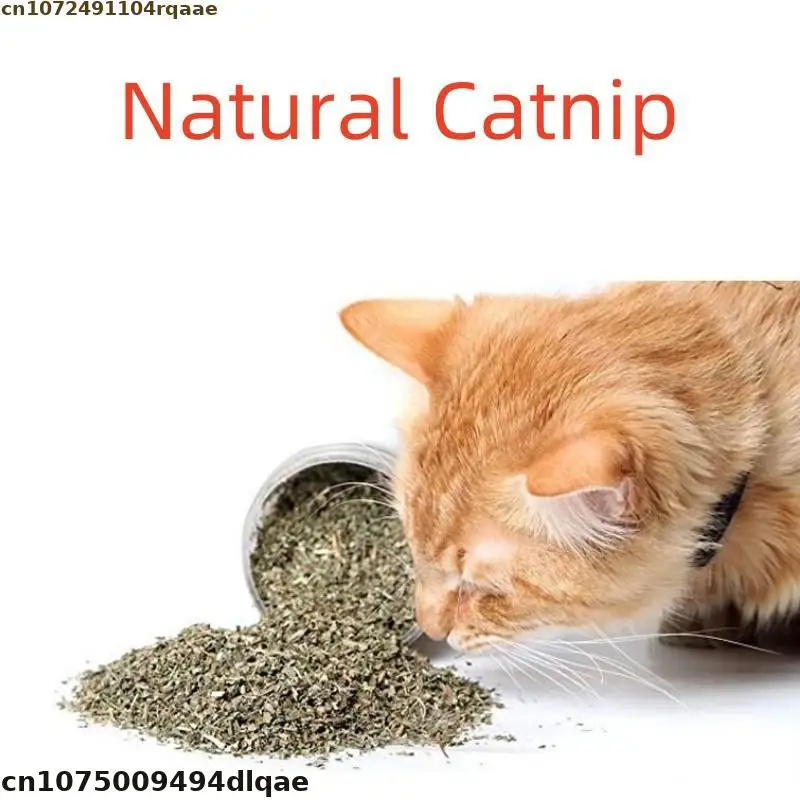 Natural Catnip Debris Cats-go-crazy Menthol Flavor Cat Treat Toy Making Material Funny Cat Supply Material Nepeta Cataria Debris