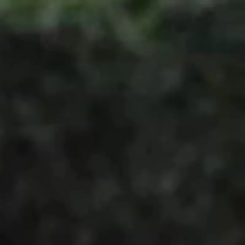 2Pcs Luggage Suitca…