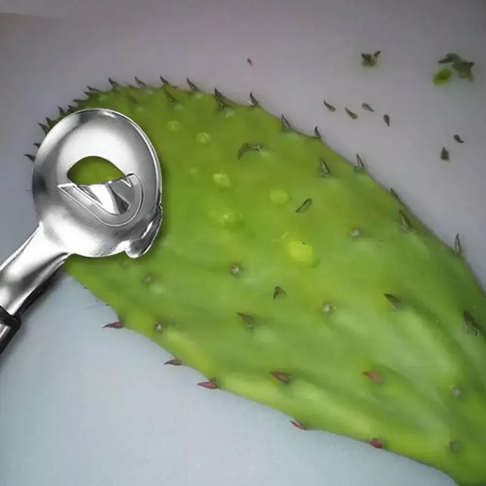 Stainless Steel Cactus Peeler Spoon 1Pcs Spoon Shaped Nopales Peeler for Home Kitchen Manual Tool view 3