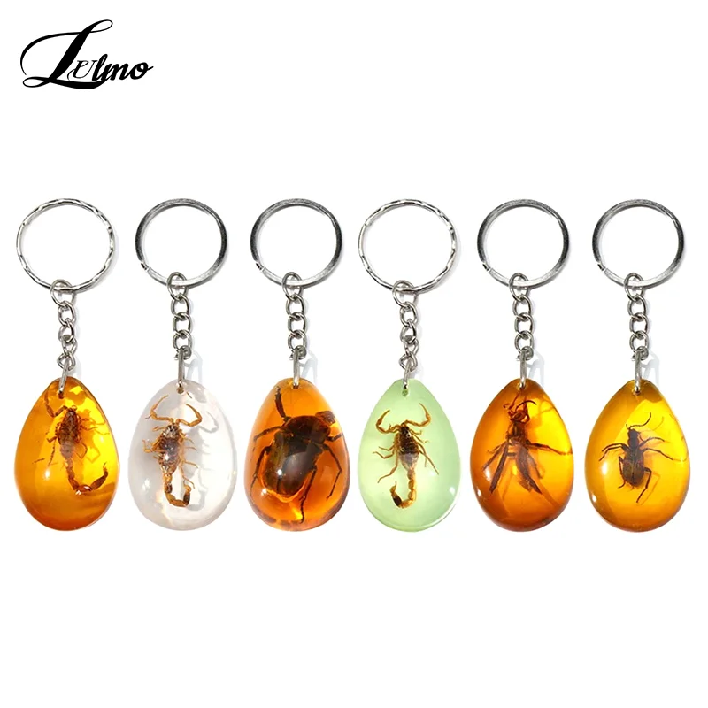 1PC Insect Specimen Amber Keychain Hanging Small Gift Car Key Bag Keychain Hanging Ornament