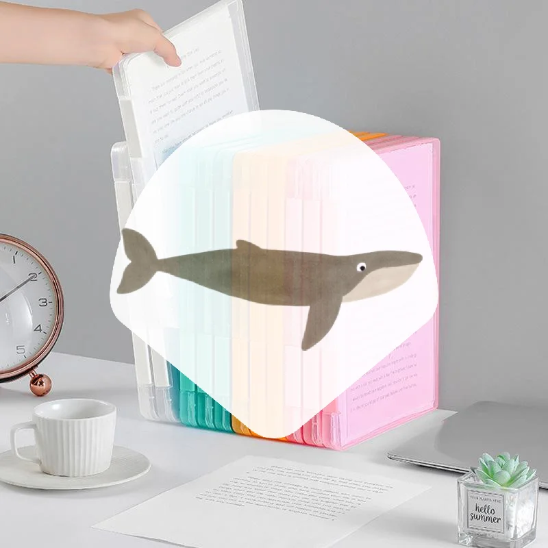 Transparent A4 Paper Storage Box Clear Plastic Desktop File Organizer for Photo Printouts Office Document School Worksheets